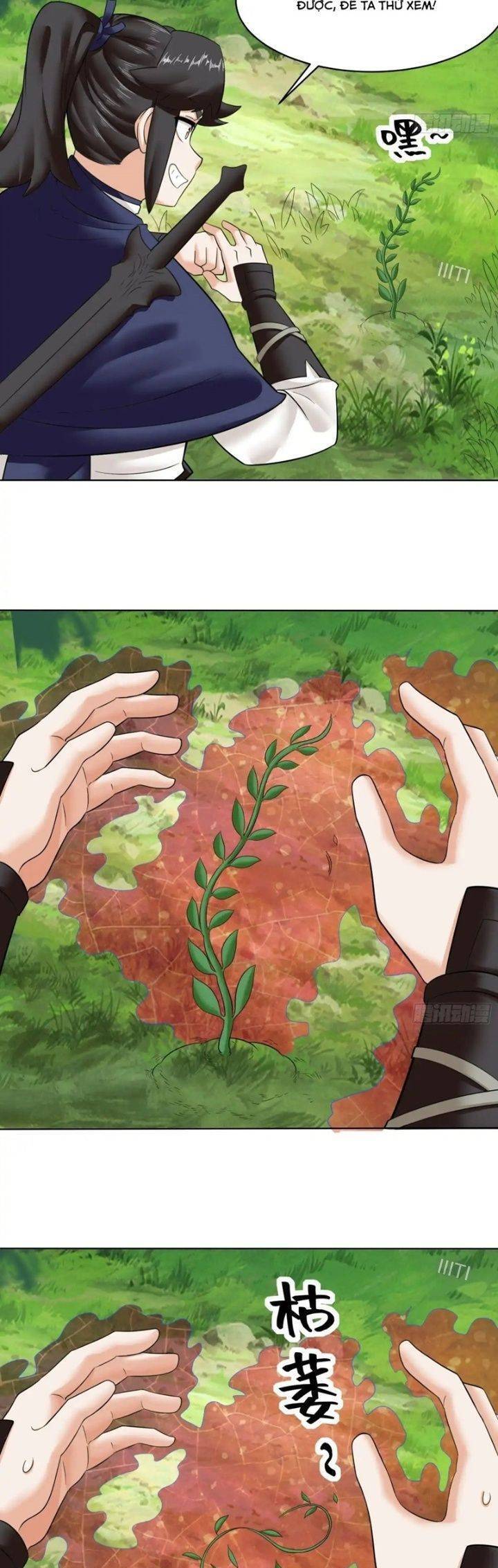 Vô Tận Thôn Phệ Chap 206 - Next Chap 207