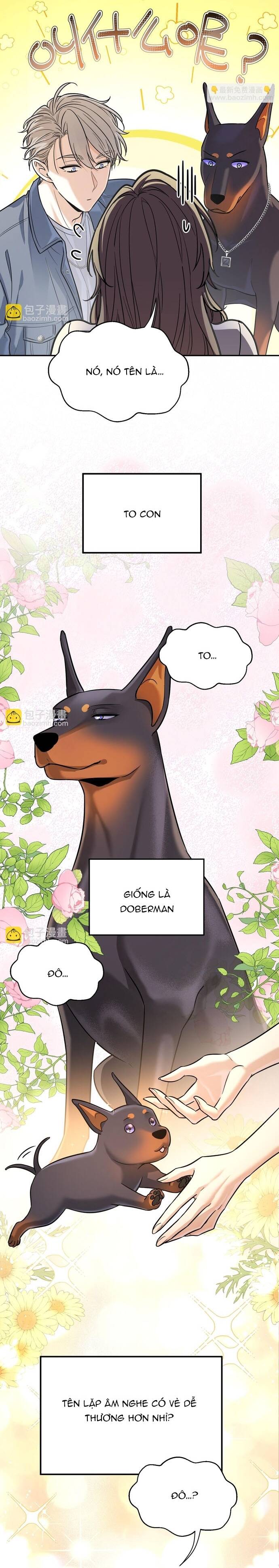 Vô Tình Kết Hôn Với Tổng Tài Chap 12 - Next Chap 13
