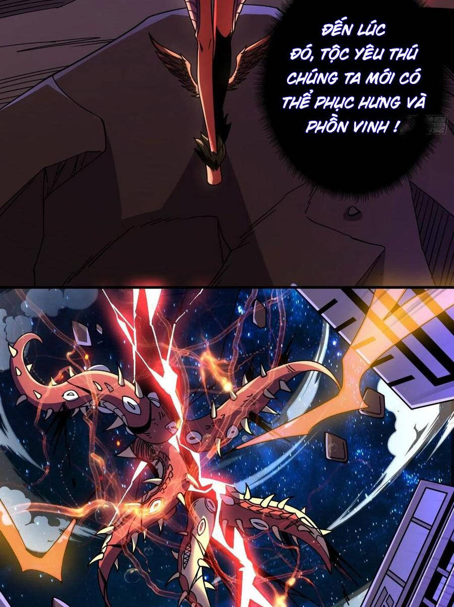 Vừa Chơi Đã Có Tài Khoản Vương Giả Chap 255 - Next Chap 256