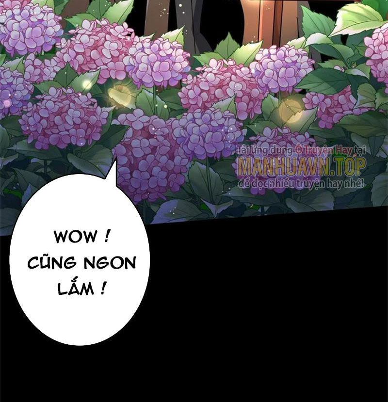 Vừa Chơi Đã Có Tài Khoản Vương Giả Chap 272 - Next Chap 273