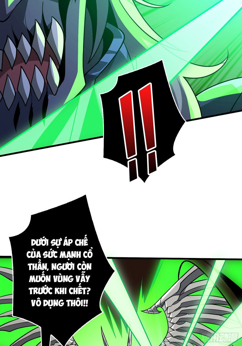 Vừa Chơi Đã Có Tài Khoản Vương Giả Chap 333 - Next Chap 334