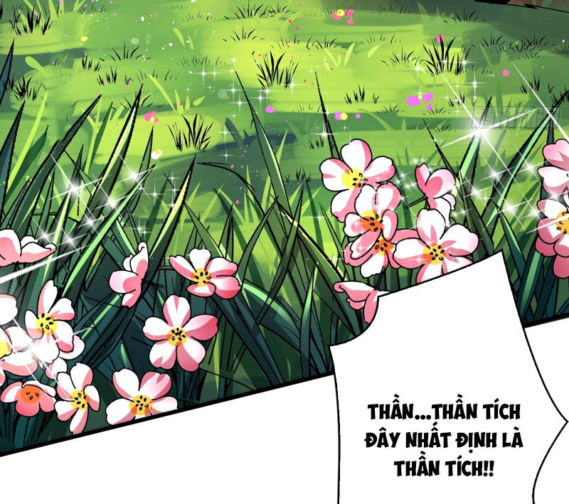 Vừa Chơi Đã Có Tài Khoản Vương Giả Chap 333 - Next Chap 334