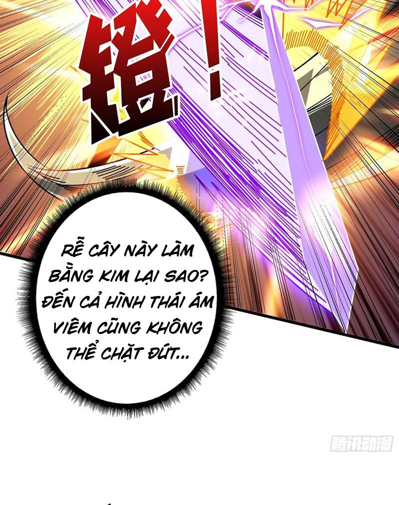 Vừa Chơi Đã Có Tài Khoản Vương Giả Chap 365 - Next Chap 366