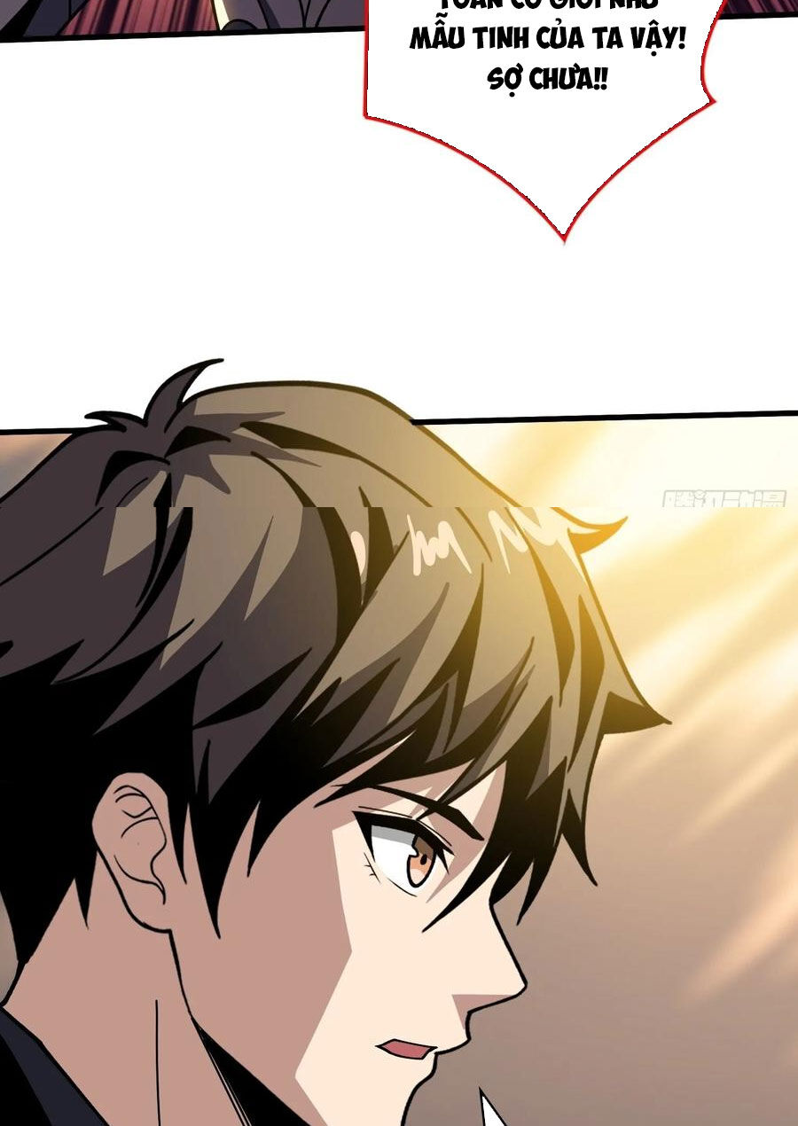 Vừa Chơi Đã Có Tài Khoản Vương Giả Chap 366 - Next Chap 367