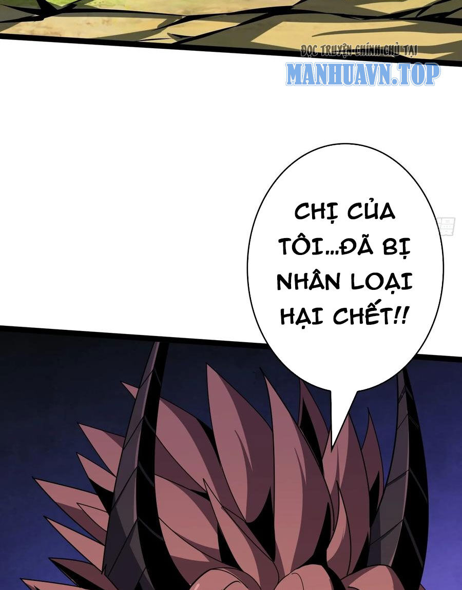 Vừa Chơi Đã Có Tài Khoản Vương Giả Chap 369 - Next Chap 370