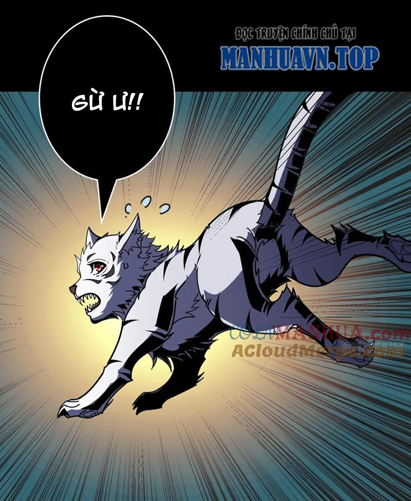 Vừa Chơi Đã Có Tài Khoản Vương Giả Chap 388 - Next Chap 389