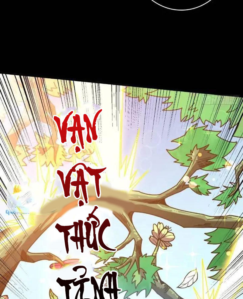 Vừa Chơi Đã Có Tài Khoản Vương Giả Chap 393 - Next Chap 394