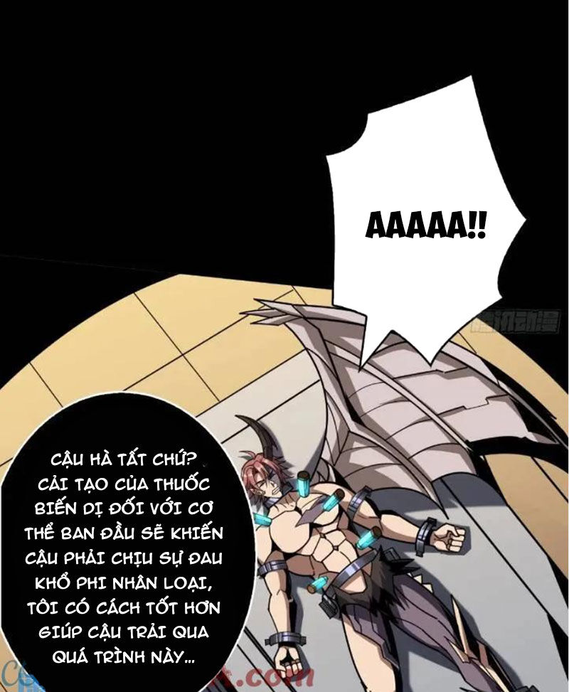 Vừa Chơi Đã Có Tài Khoản Vương Giả Chap 393 - Next Chap 394