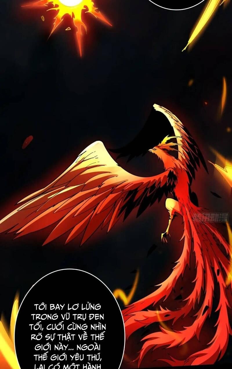 Vừa Chơi Đã Có Tài Khoản Vương Giả Chap 396 - Next Chap 397