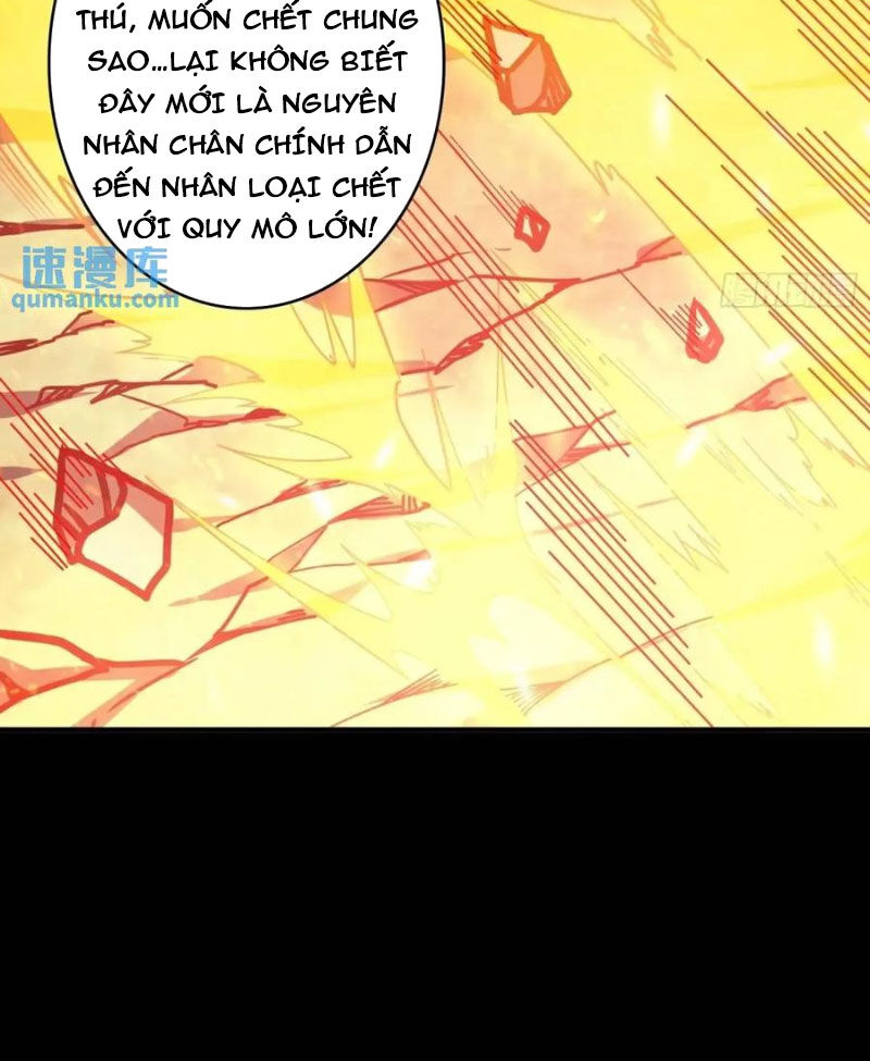 Vừa Chơi Đã Có Tài Khoản Vương Giả Chap 416 - Next Chap 417