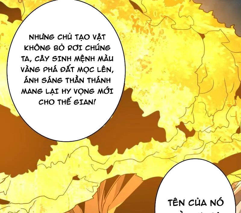 Vừa Chơi Đã Có Tài Khoản Vương Giả Chap 481 - Next Chap 482