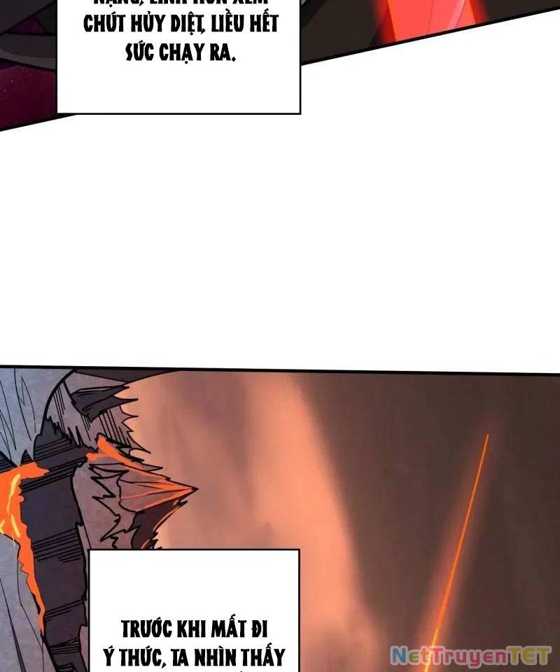 Vừa Chơi Đã Có Tài Khoản Vương Giả Chap 502 - Next Chap 503