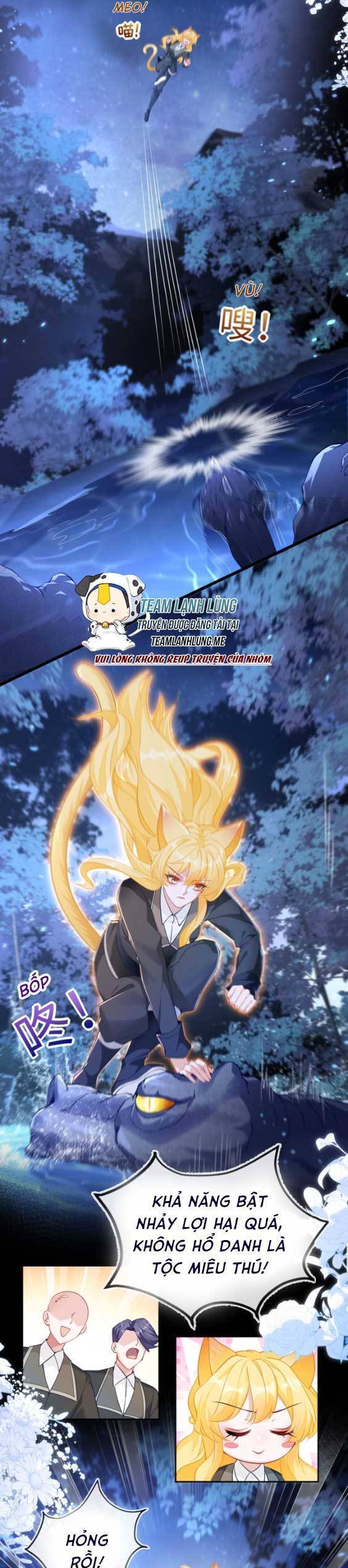 Vừa Mới Huỷ Hôn Đã Bị Dã Hồ Ly Lừa Kết Hôn Chap 15 - Next Chap 16