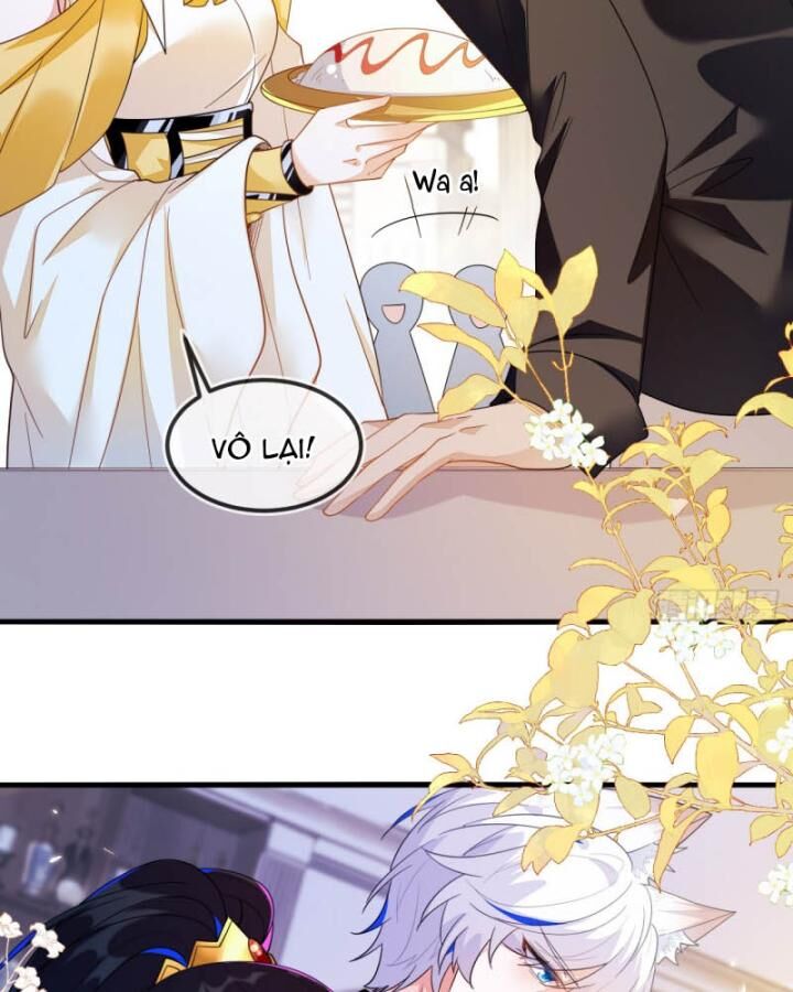 Vừa Từ Hôn Đã Bị Hồ Ly Lừa Vào Cục Dân Chính Chap 8 - Next Chap 9