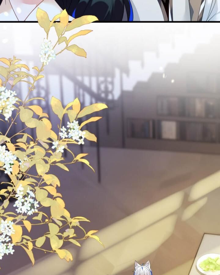 Vừa Từ Hôn Đã Bị Hồ Ly Lừa Vào Cục Dân Chính Chap 8 - Next Chap 9