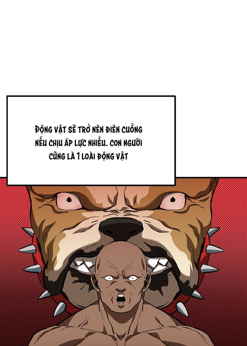Vua Võ Đài Chap 41 - Next Chap 42