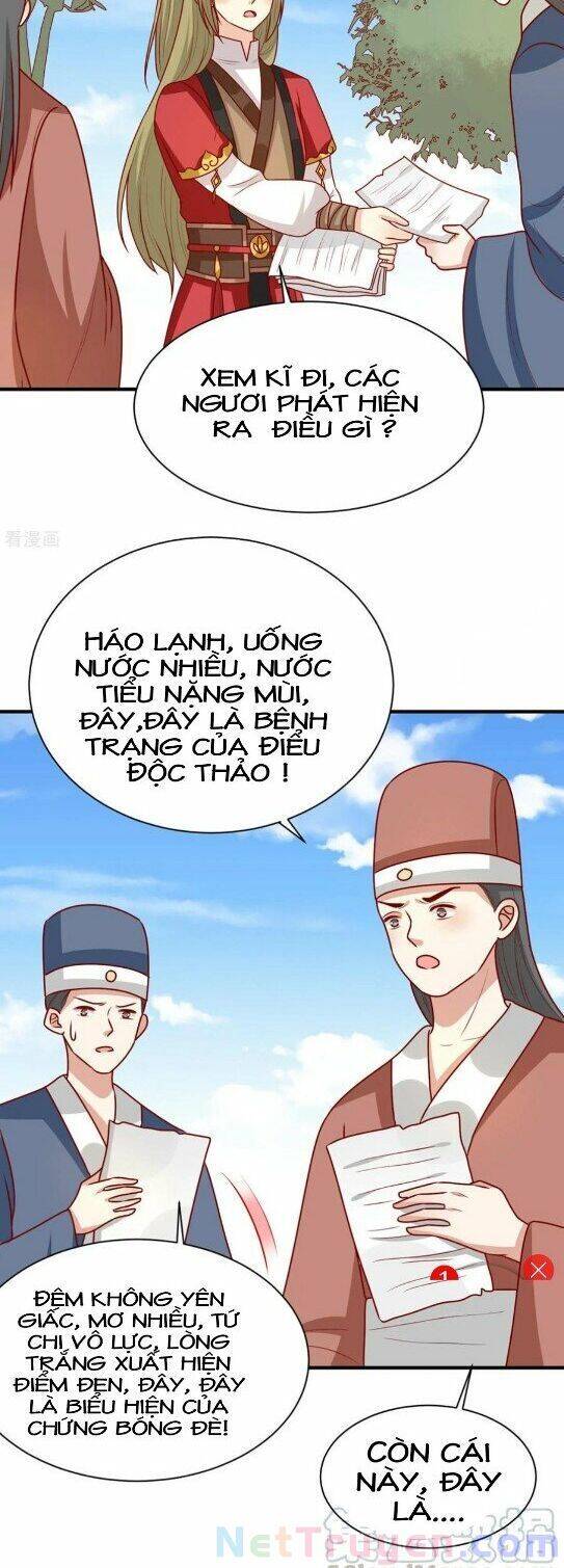 Vương Gia Người Ta Sẽ Giảm Béo Mà!!! Chap 177 - Next Chap 178