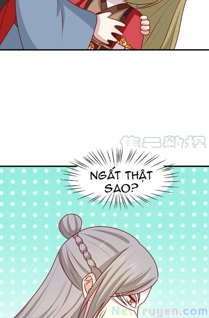 Vương Gia Người Ta Sẽ Giảm Béo Mà!!! Chap 178 - Next Chap 179