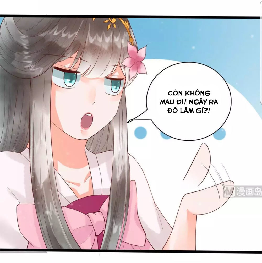 Vương Phi Hám Của - Phu Quân Là Một Bảo Bảo Ấm Áp Chap 40 - Next Chap 41