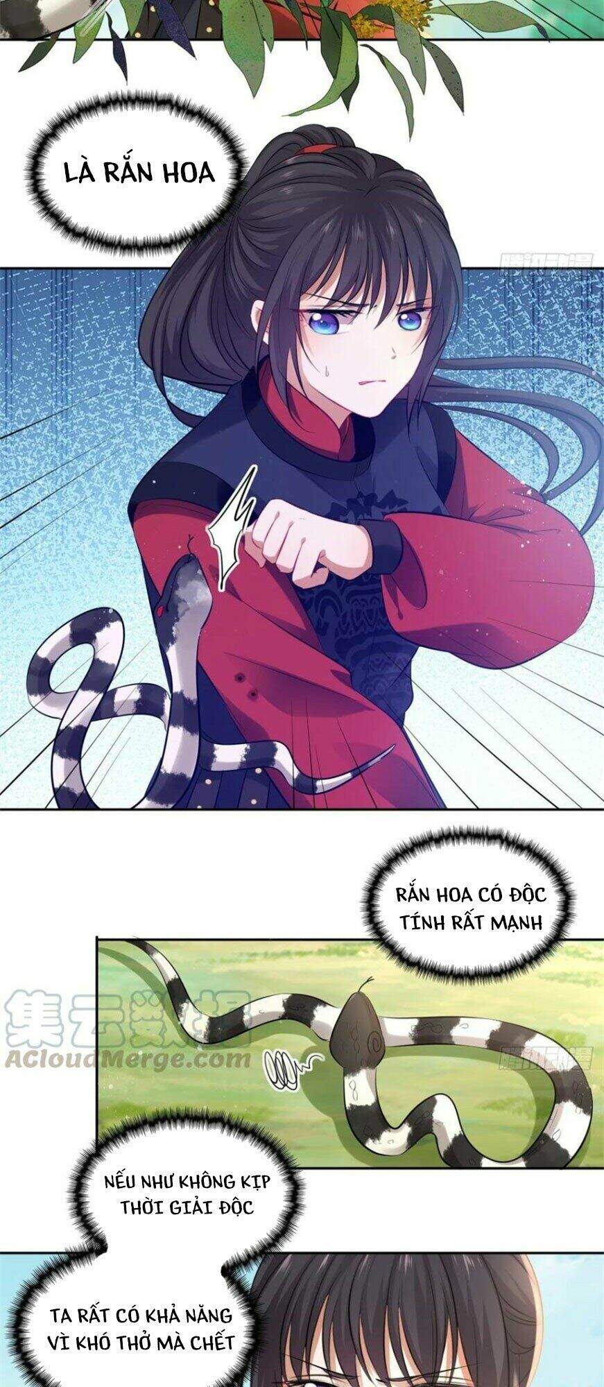 Vương Phi Thật Thích Trang Điểm Chap 109 - Next Chap 110