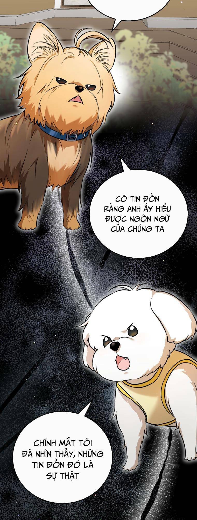 Xin Chào! Bác Sĩ Thú Y Chap 1 - Next Chap 2
