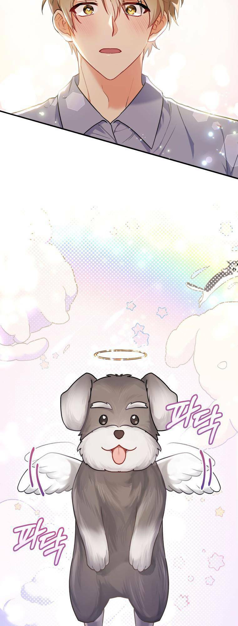 Xin Chào! Bác Sĩ Thú Y Chap 1 - Next Chap 2