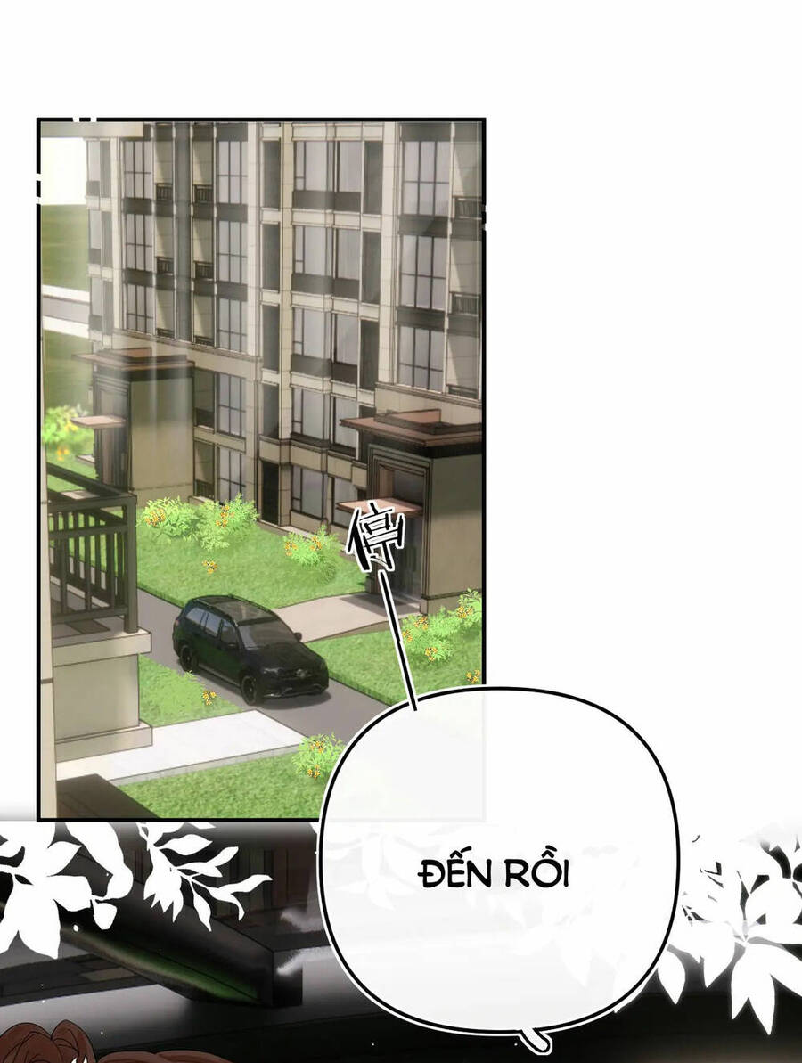 Xin Được Chỉ Giáo Chap 41 - Next Chap 42