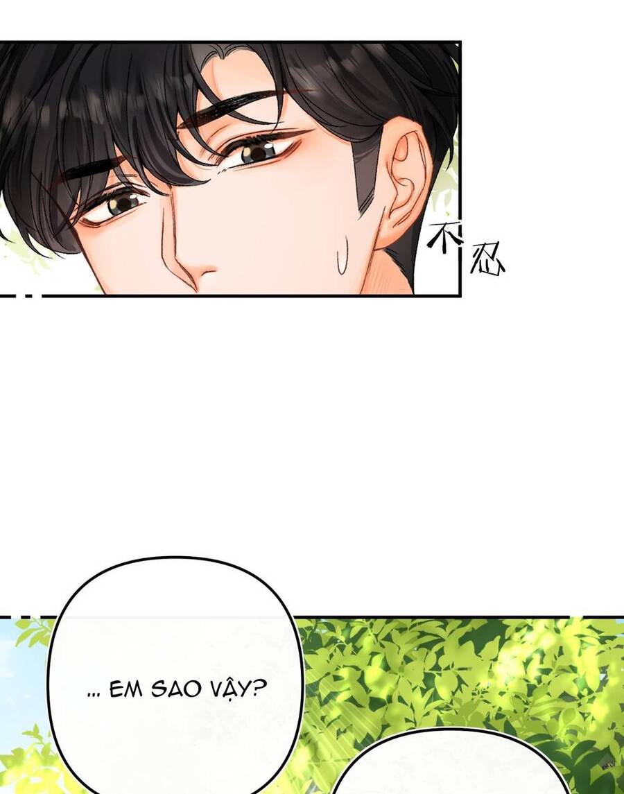 Xin Được Chỉ Giáo Chap 81 - Next Chap 82