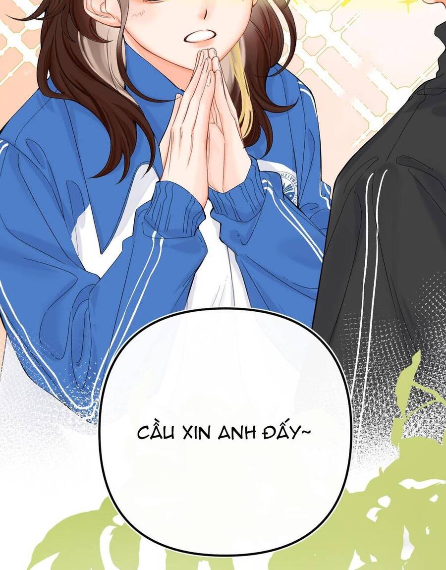 Xin Được Chỉ Giáo Chap 81 - Next Chap 82