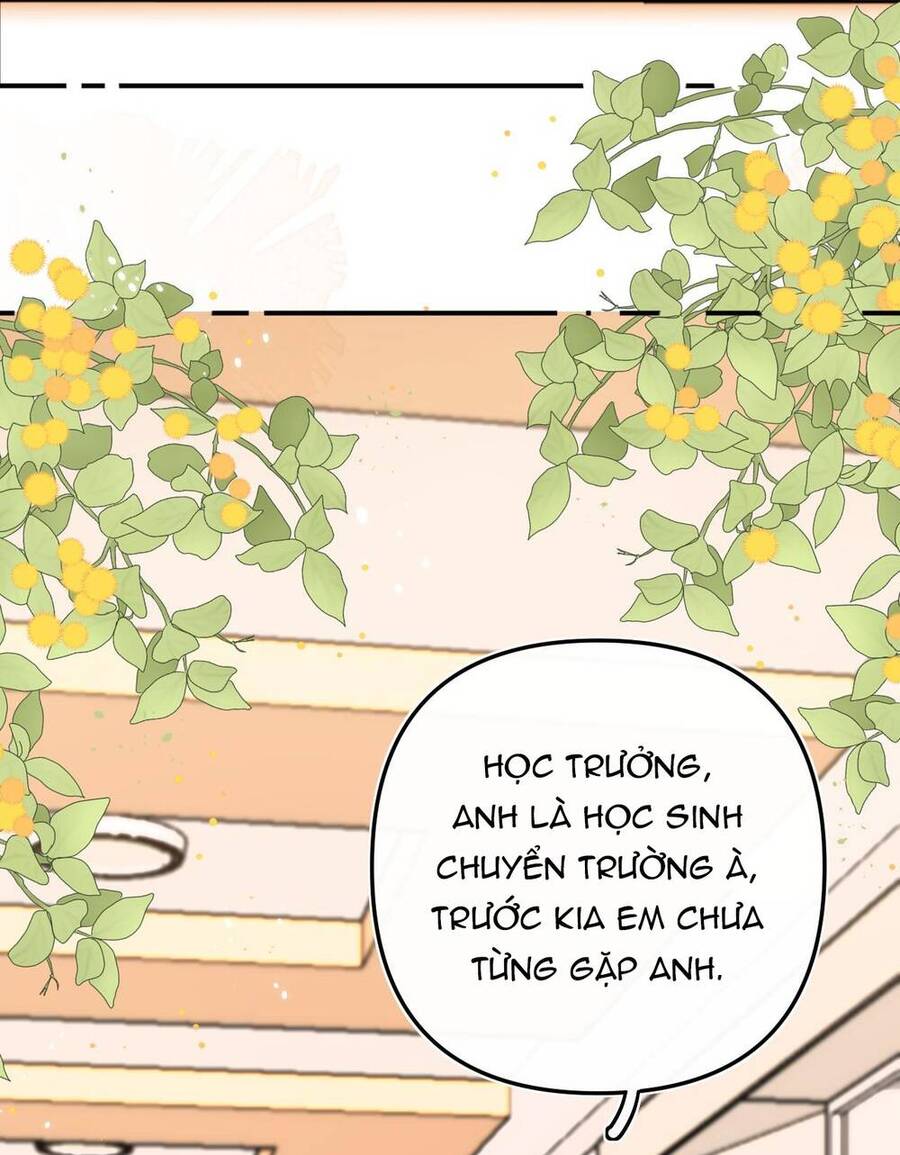 Xin Được Chỉ Giáo Chap 81 - Next Chap 82
