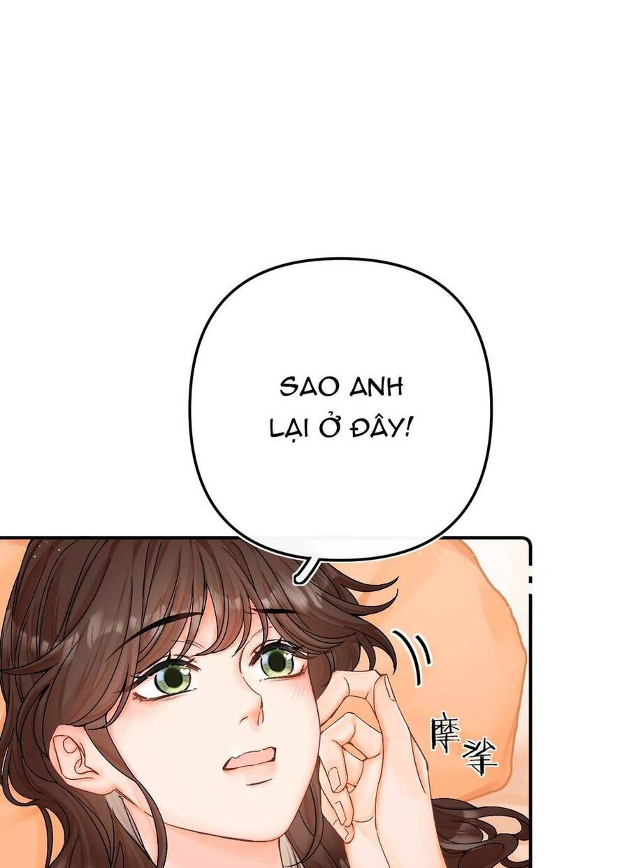 Xin Được Chỉ Giáo Chap 82 - Next Chap 83