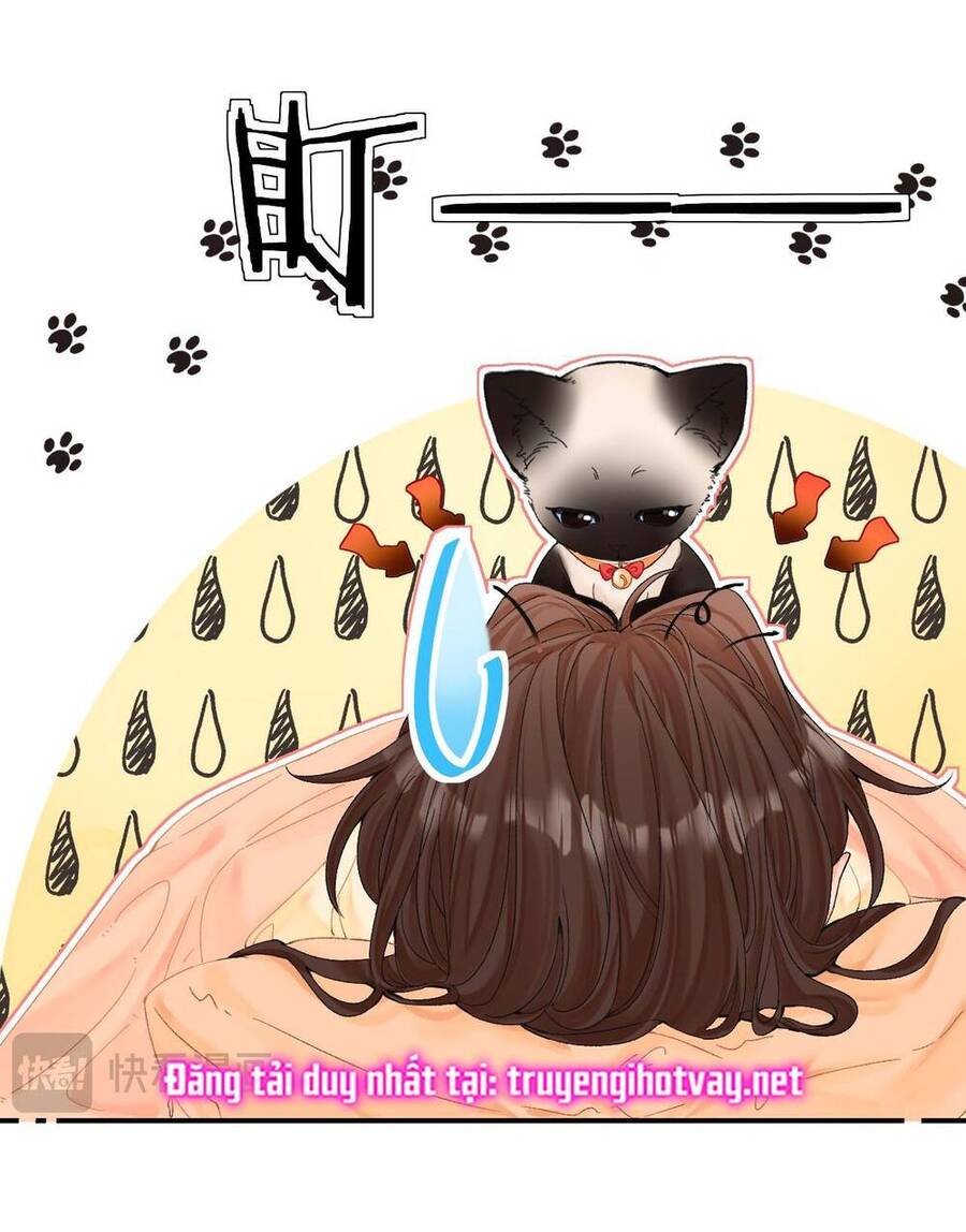 Xin Được Chỉ Giáo Chap 82 - Next Chap 83