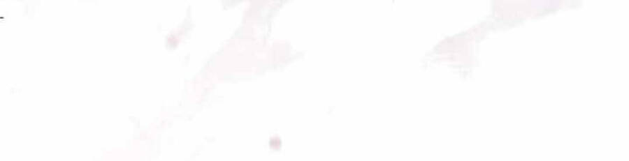 Xin Hãy Đọc Chap 8 - Next Chap 9