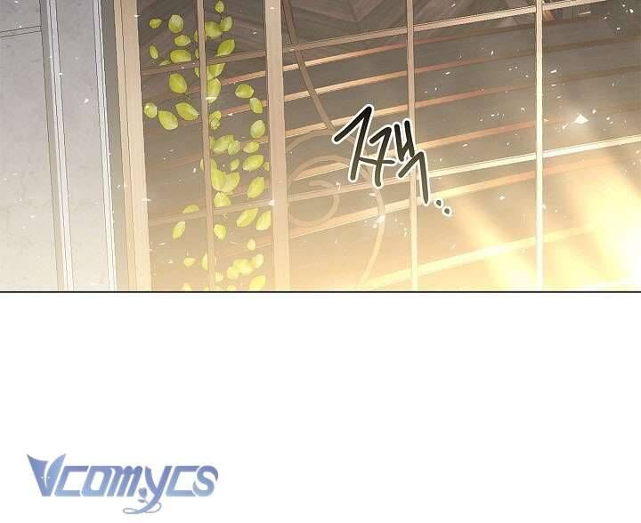 Xin Lỗi Vì Tôi Không Thể Rời Mắt Khỏi Vẻ Ngoài Của Ngài Chap 17 - Next Chap 18