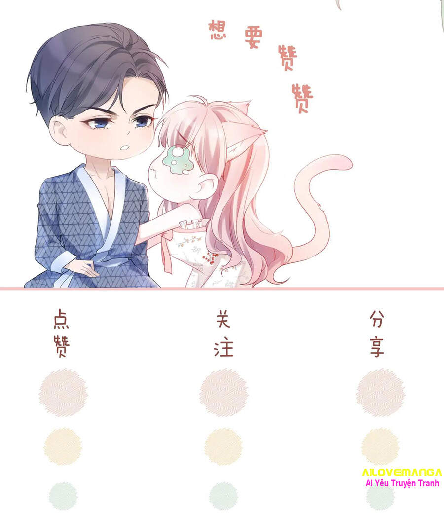 Xuyên Nhanh Nữ Phụ Bình Tĩnh Chút Chap 11 - Next Chap 12