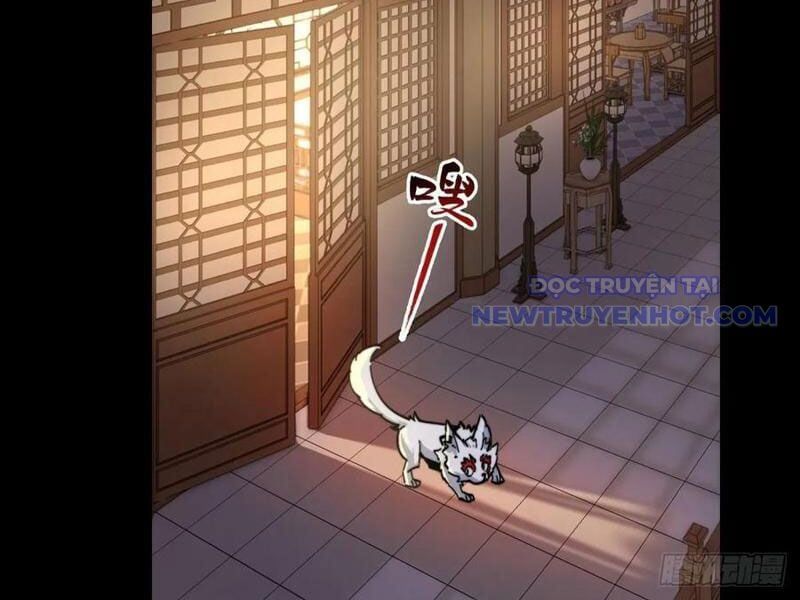 Xuyên Qua Thành Npc Xui Xẻo: Ta Có Lão Bà Che Chở Chap 104 - Next Chap 105