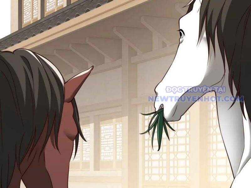 Xuyên Qua Thành Npc Xui Xẻo: Ta Có Lão Bà Che Chở Chap 105 - Next Chap 106