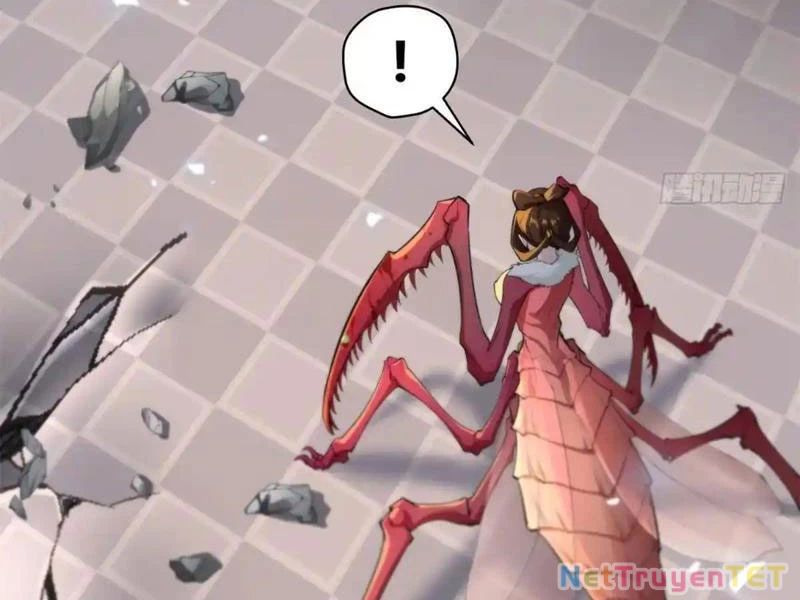 Xuyên Qua Thành Npc Xui Xẻo: Ta Có Lão Bà Che Chở Chap 107 - Next Chap 108