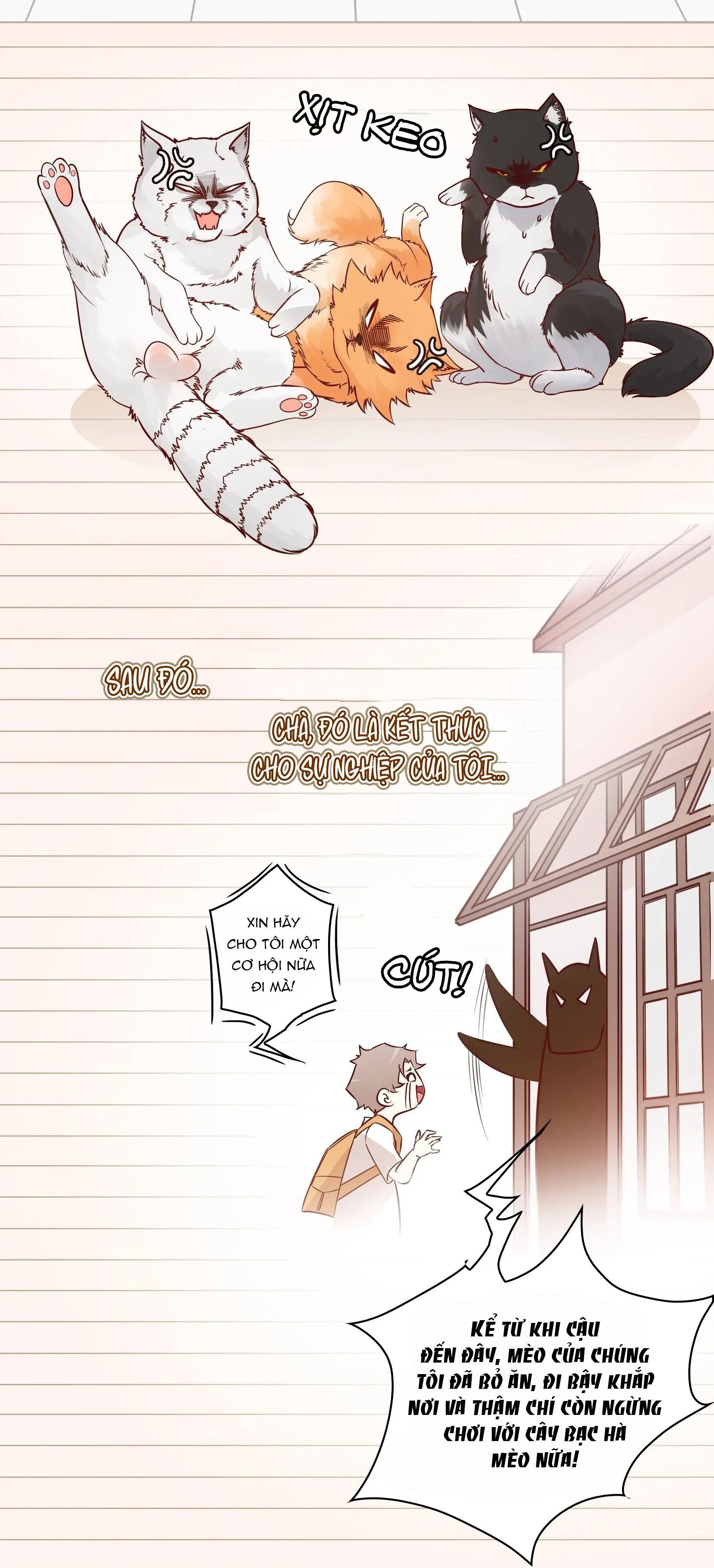Yêu Em Bất Chấp Chap 1 - Next Chap 2