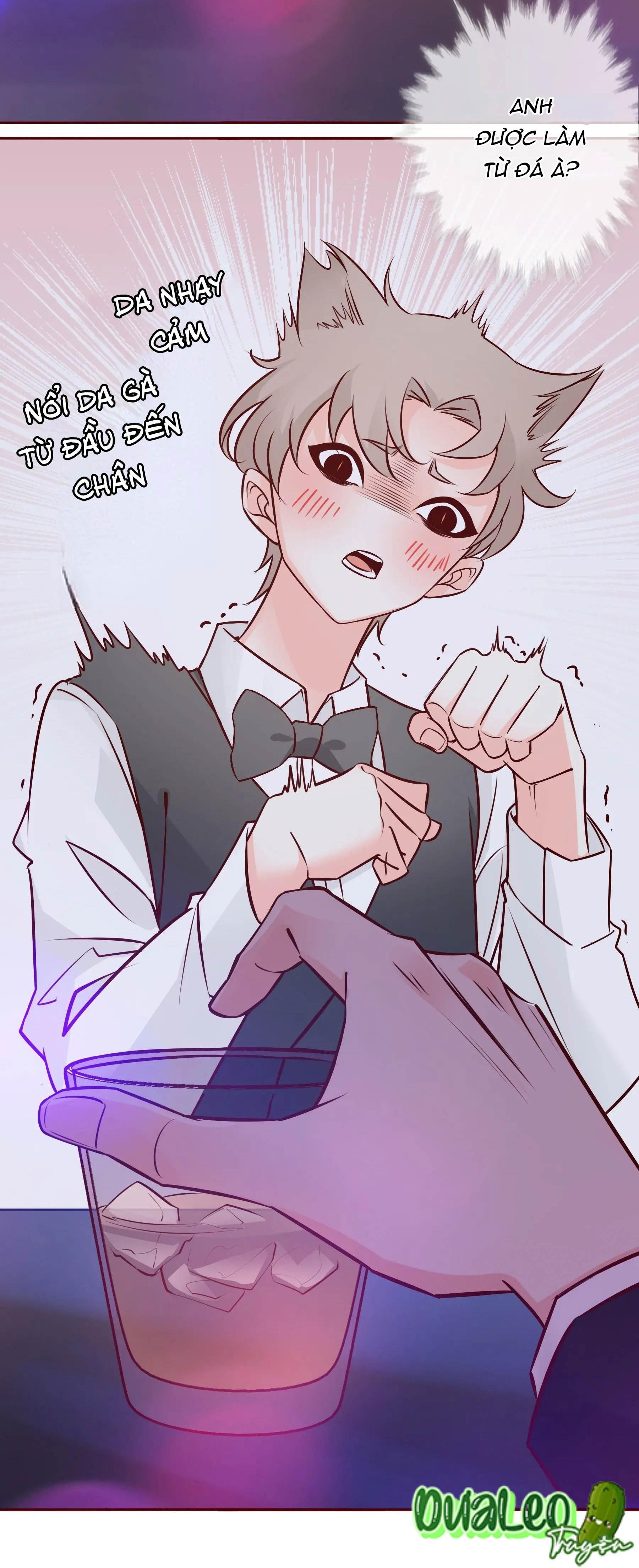 Yêu Em Bất Chấp Chap 1 - Next Chap 2