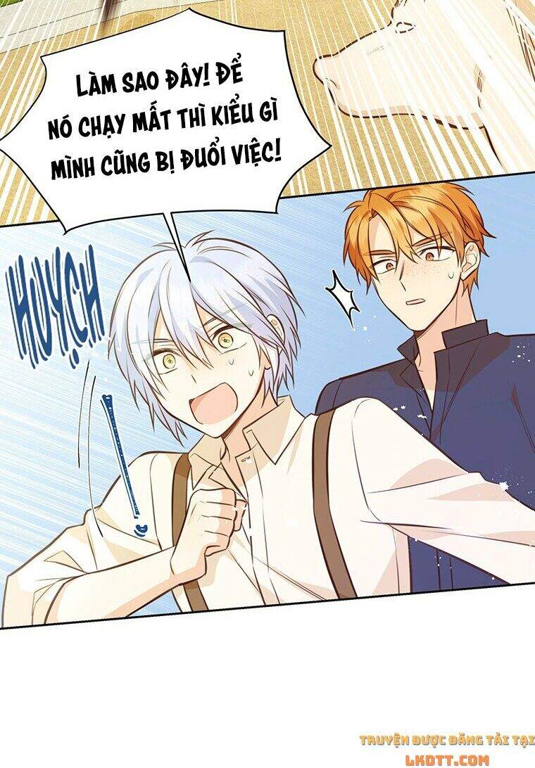 Yêu Tôi Đi, Dù Sao Ngài Cũng Chỉ Là Nhân Vật Phụ Chap 12 - Next Chap 13