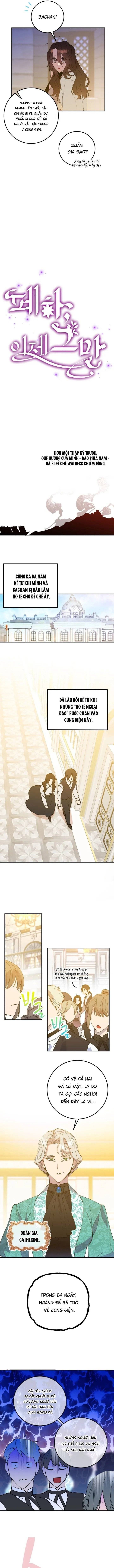 Your Majesty, Please Stop Now Chap 1 - Next Chap 2