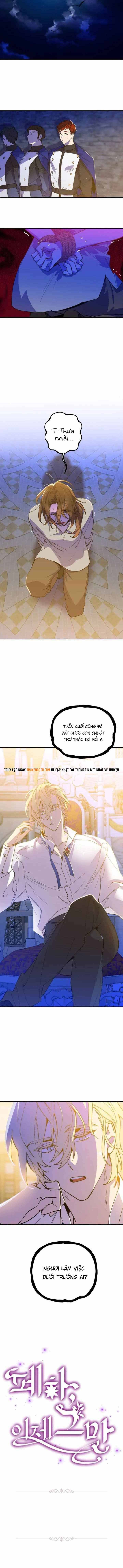 Your Majesty, Please Stop Now Chap 2 - Next Chap 3