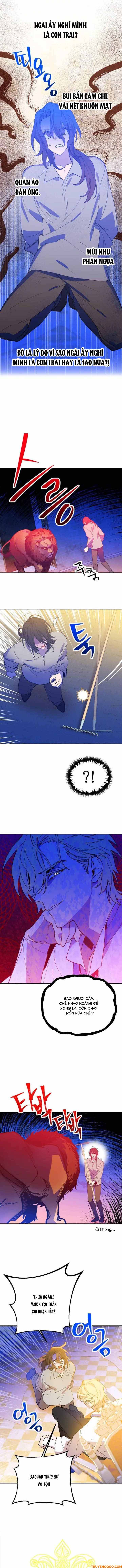Your Majesty, Please Stop Now Chap 3 - Next Chap 4
