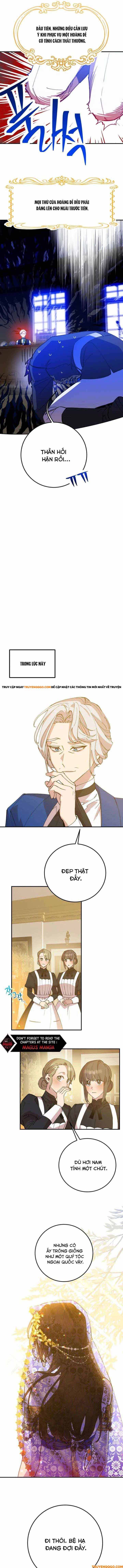 Your Majesty, Please Stop Now Chap 5 - Next Chap 6